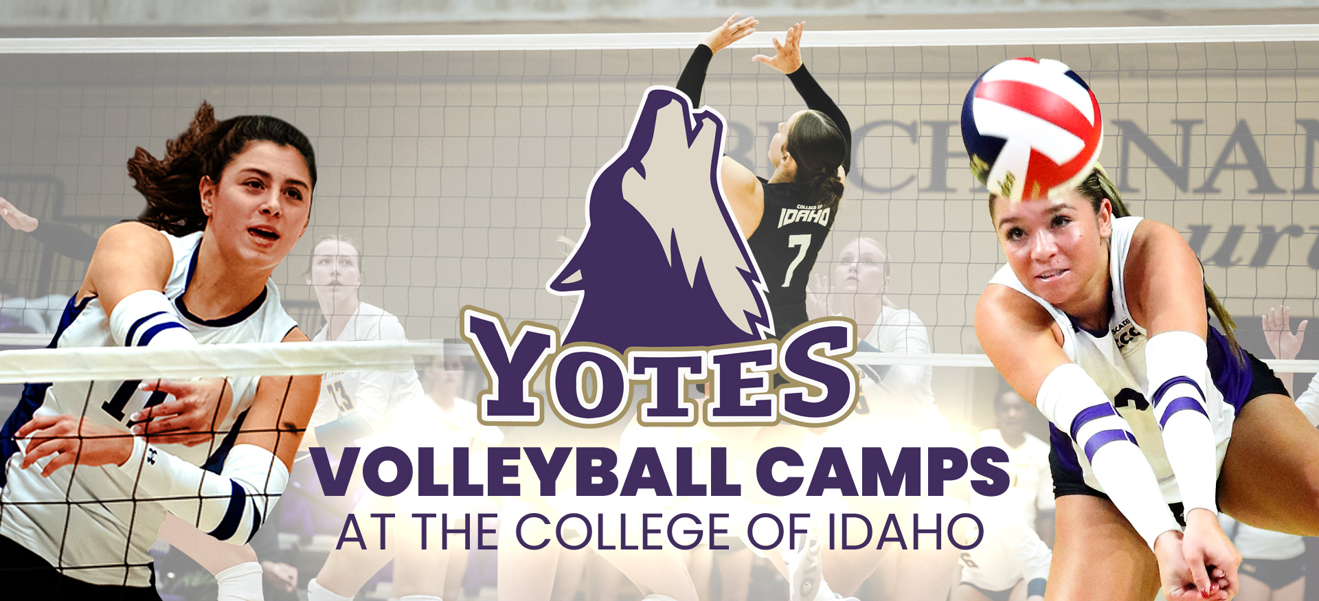 Yotes Volleyball